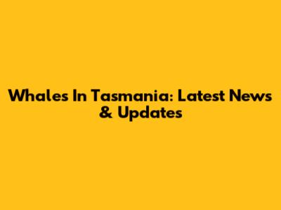Whales In Tasmania: Latest News & Updates