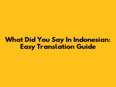 What Did You Say In Indonesian: Easy Translation Guide