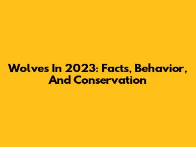 Wolves In 2023: Facts, Behavior, And Conservation
