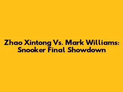 Zhao Xintong Vs. Mark Williams: Snooker Final Showdown